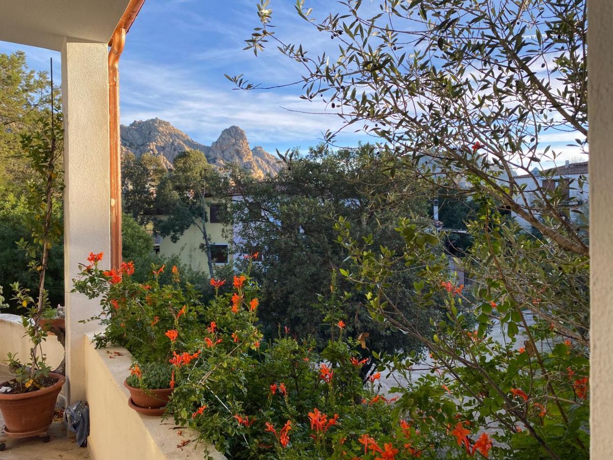 Casa Vacanza Malcusa San Pantaleo Εξωτερικό φωτογραφία